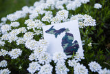 Decal  //  Michigan  ~  Camo Michigan Decal